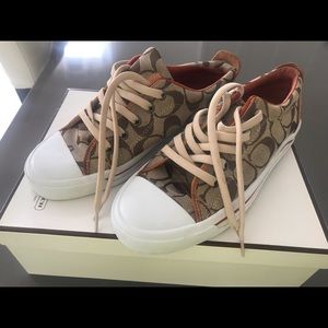Coach sneaker